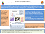 61 - DESARROLLO DEL SISTEMA NERVIOSO