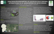 CARACTERIZACIÓN MORFOMÉTRICA