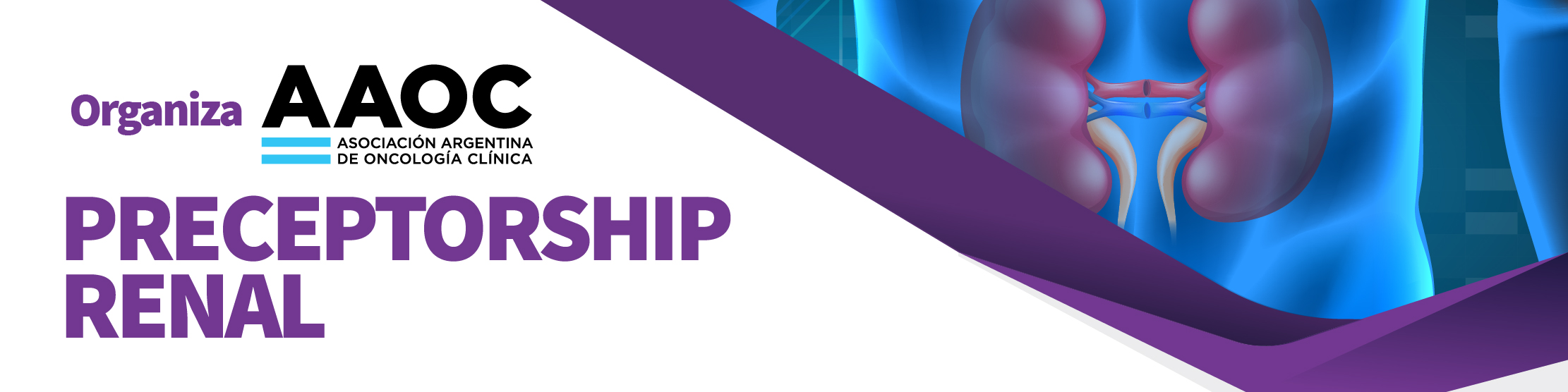 Preceptorship Tumores Renales - Membrete 800x200px-01